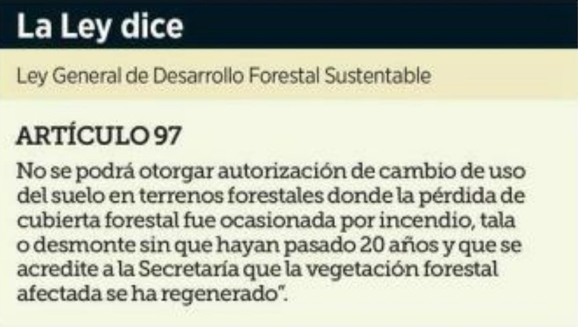 Violeta Meléndez tweet media