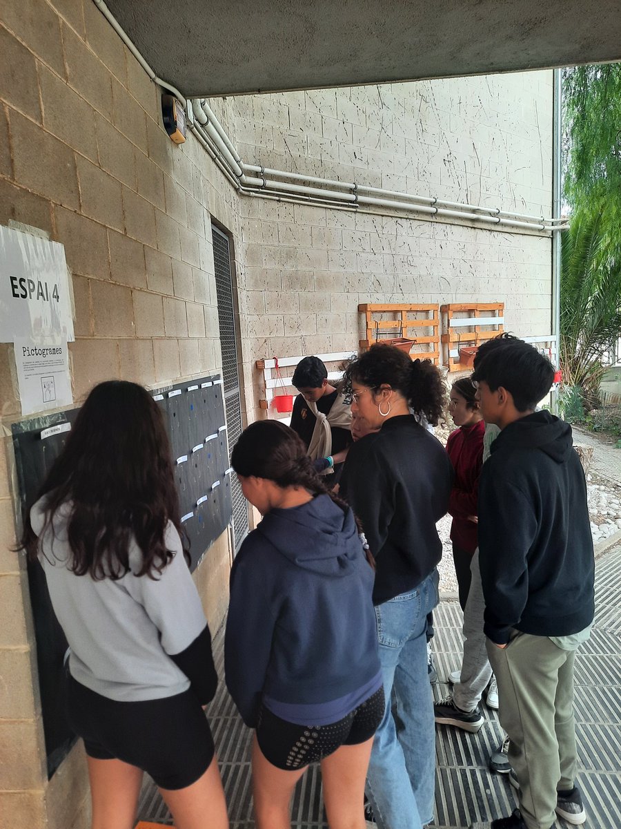 XEASC's tweet image. Avui hem realitzat la III jornada antimasclista interentitats!
Més de 80 joves de 6 entitats van trobar-se per participar a activitats esportives, jocs inclusius i dinàmica de sensibilització i debat. La conclusió és que tothom hem de prendre partit contra les violències.