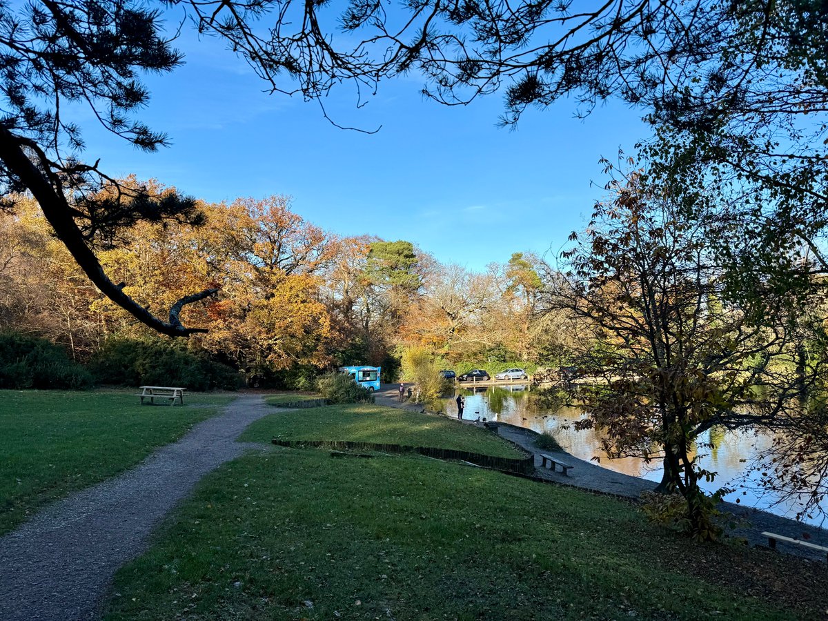 Anne-Wil Harzing tweet media