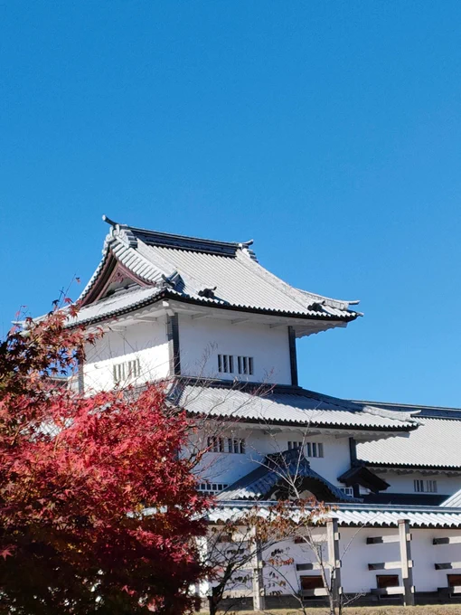 金沢市内も今が紅葉見頃かも 金沢城にクソデカ白たまごが転がっててなんやろ思ってたら、夜は更に光って触ると色が変わるらしい; 天徳院よこの小立庵の天ぷら禅、蕎麦の実の佃煮に蕎麦粉ゼリーもついて1100円おとくv^^v 