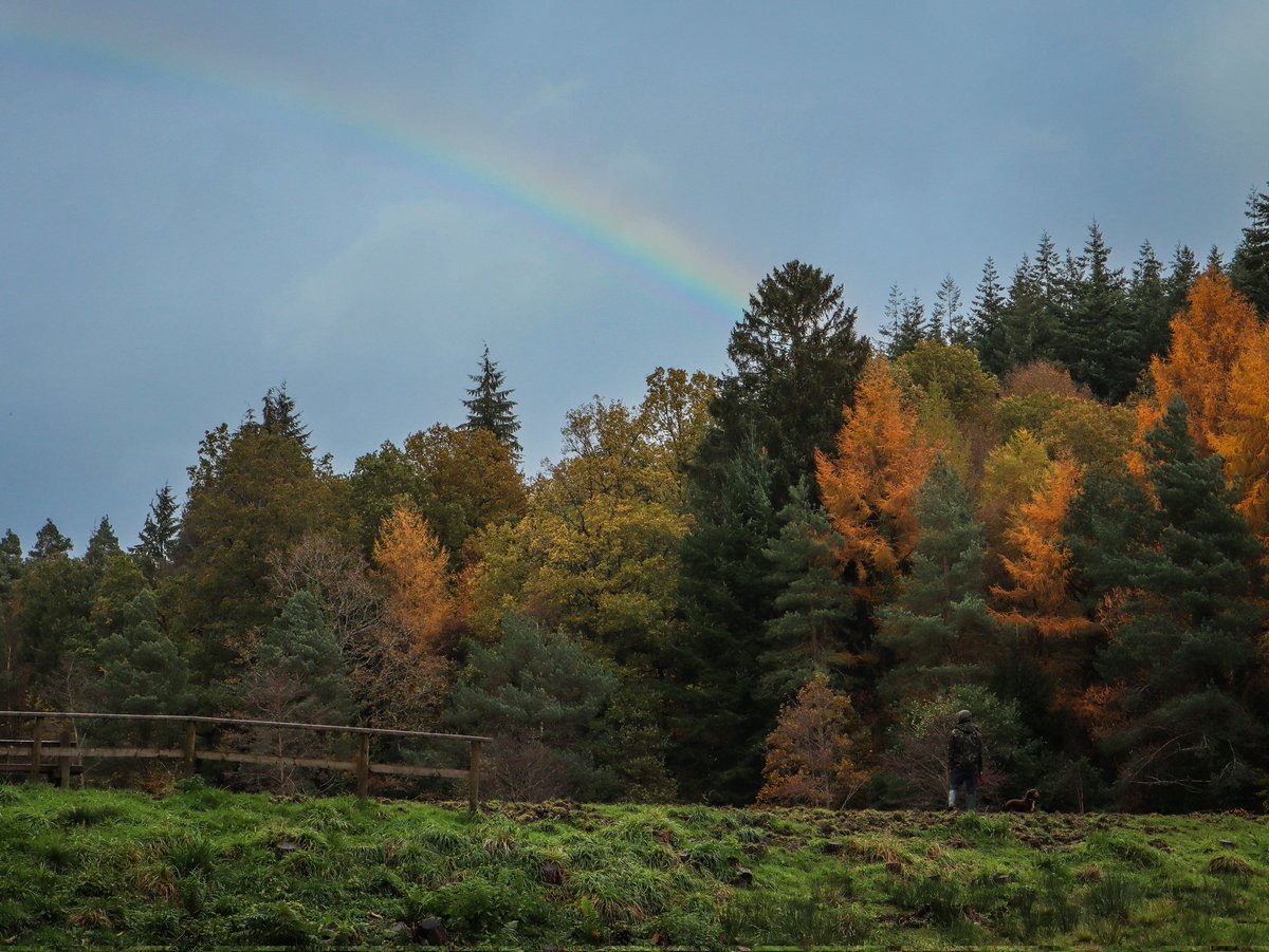 emmabphotos's tweet photo. Rainbow over the forest 😍🌈🌲

#mallardspike #autumncolours #autumn #autumnvibes #autumnmood #changingcolours  #treesofinstagram #forestofdeanwalks #forestofdean #forestphotography #landscapephotography #nature #forestryengland #naturephotography #canonuk #rainbow #colour https://t.co/0AZBfRfRMv