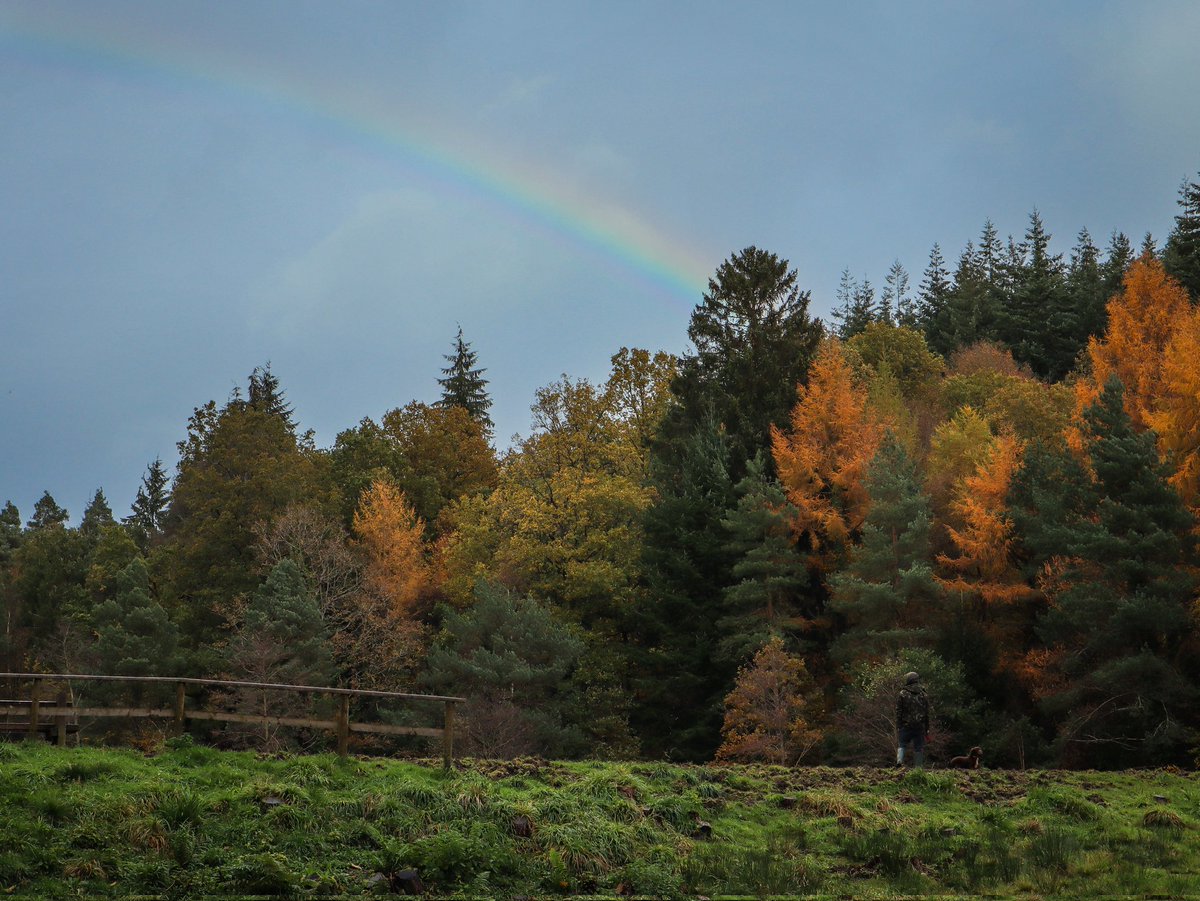 Rainbow over the forest 😍🌈🌲

#mallardspike #autumncolours #autumn #autumnvibes #autumnmood #changingcolours  #treesofinstagram #forestofdeanwalks #forestofdean #forestphotography #landscapephotography #nature #forestryengland #naturephotography #canonuk #rainbow #colour