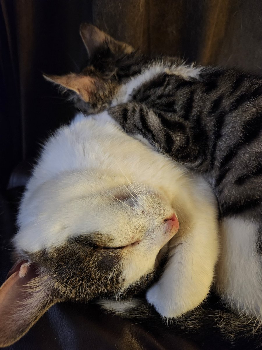 1Lynnette_A's tweet photo. @JakeB4rever My mood 😴 @JakeB4rever https://t.co/oKbenZ4mKT