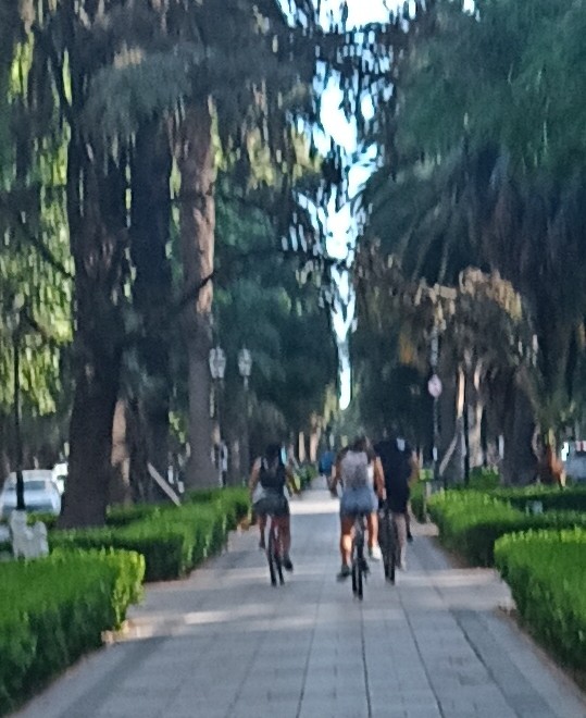 CalleDRosario tweet media