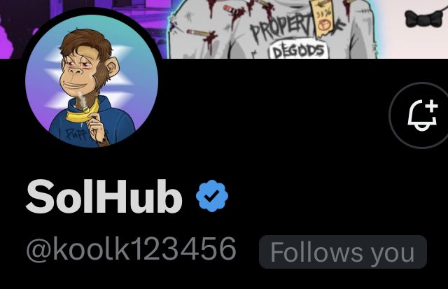 SolHub tweet media
