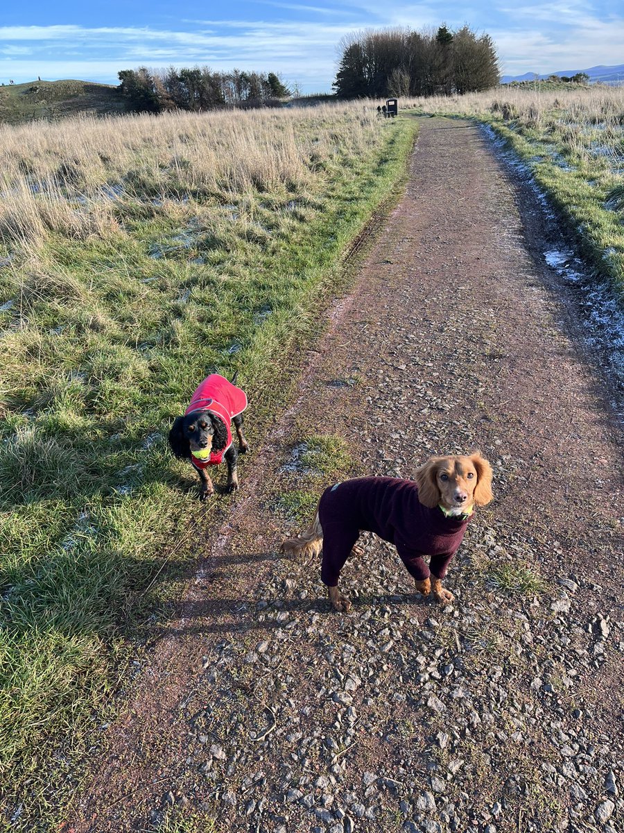 Very chilly today. But a beautiful walk. 🐾🐾