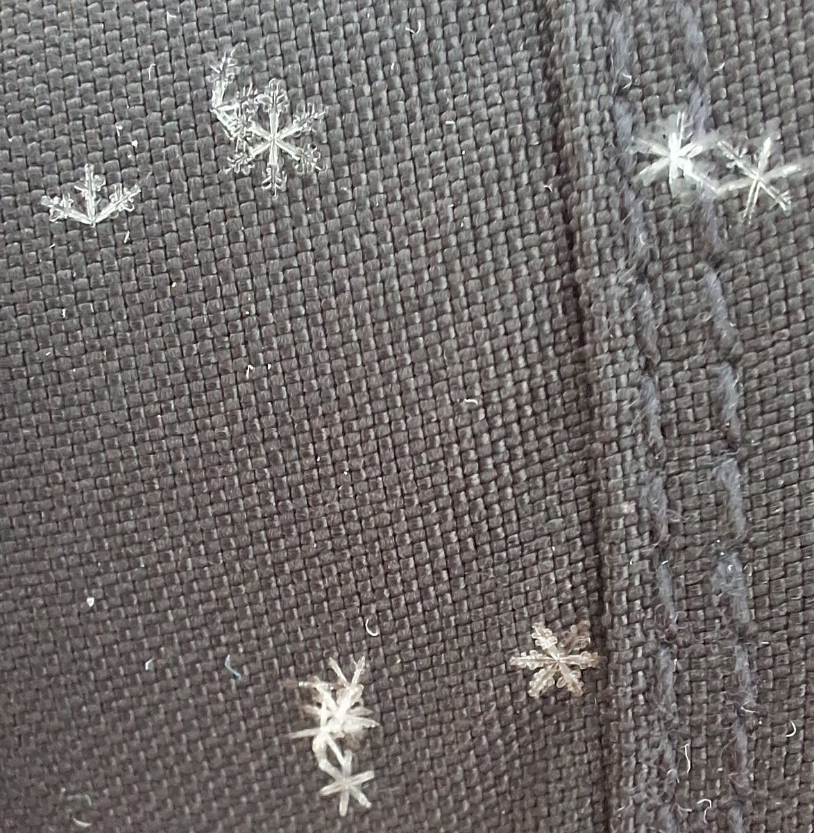 Single-entity snow, some entities with defective structure