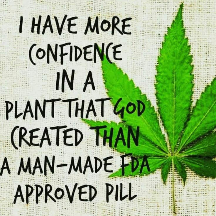 Good Morning! #freetheplant #CannabisCommunity #Mmemberville
#WakeNBake #420friendly