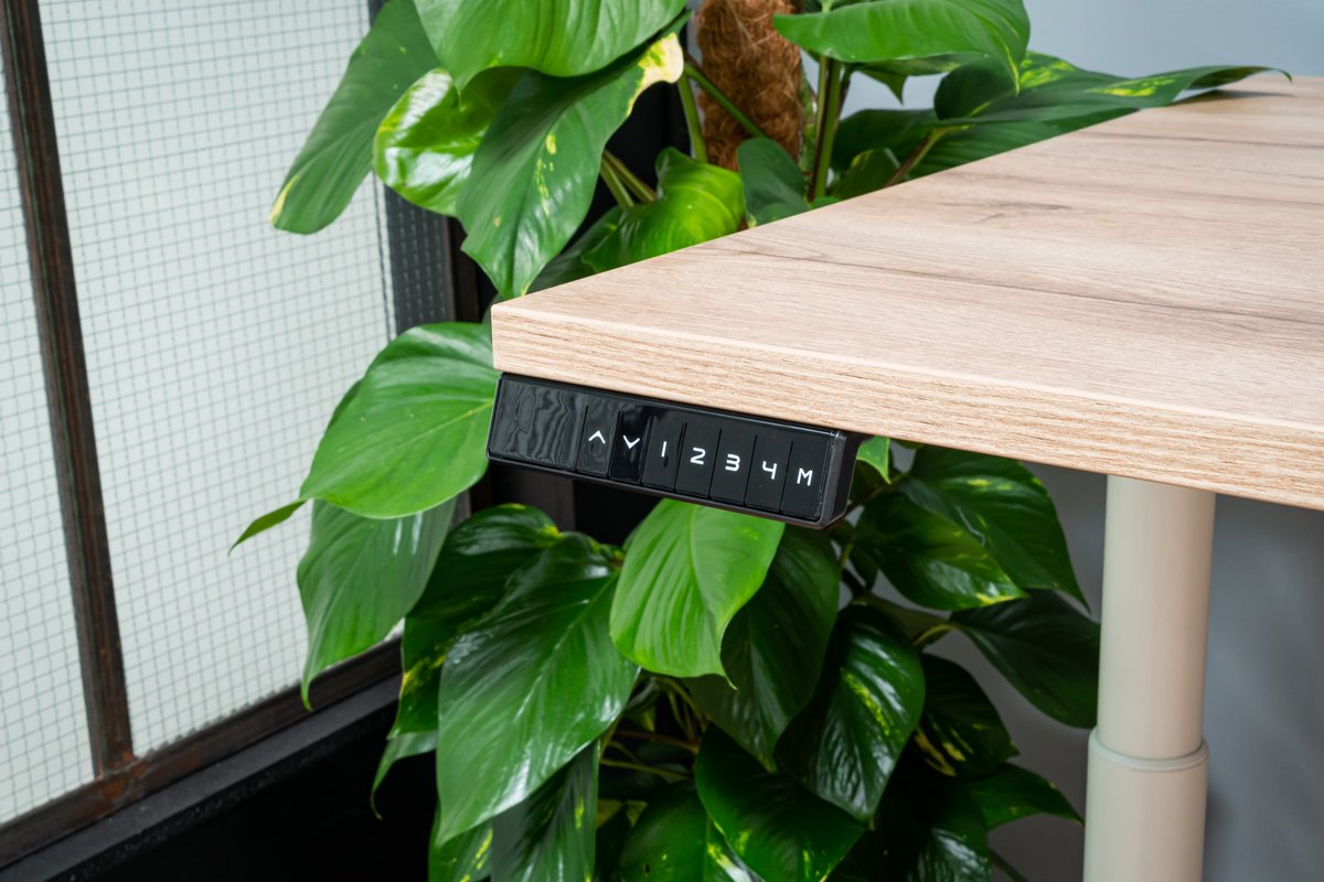 Up_&_Desk tweet media