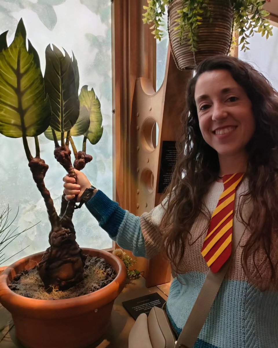 Epostigo tweet media