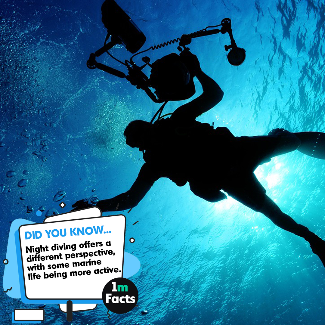 Oceans Revealed: 50 Fascinating Scuba Facts for Enthusiasts
1mfacts.com/oceans-reveale…
#ScubaDivingAdventure #ExploreTheDepths #OceanExploration #UnderwaterWorld #DiveIntoTheBlue #DiscoverTheOcean #LoveScubaDiving #UnderwaterAdventures #ExploringTheDeep #DiveWithPassion
