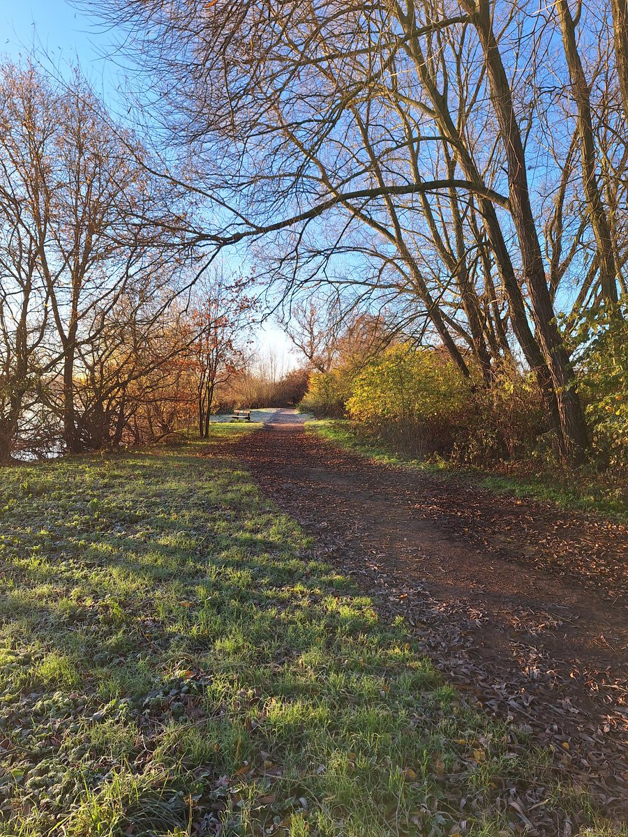 Very sunny but chilly morning volunteering at Park Run Kingsbury 👍👍