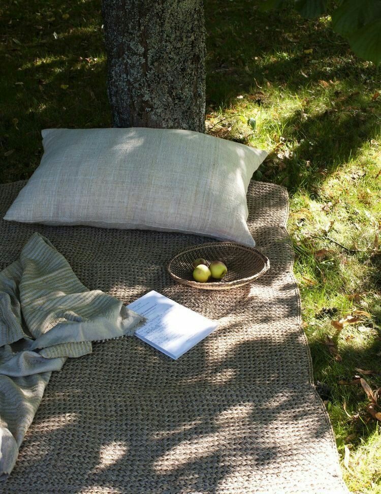poetical photos. tweet media