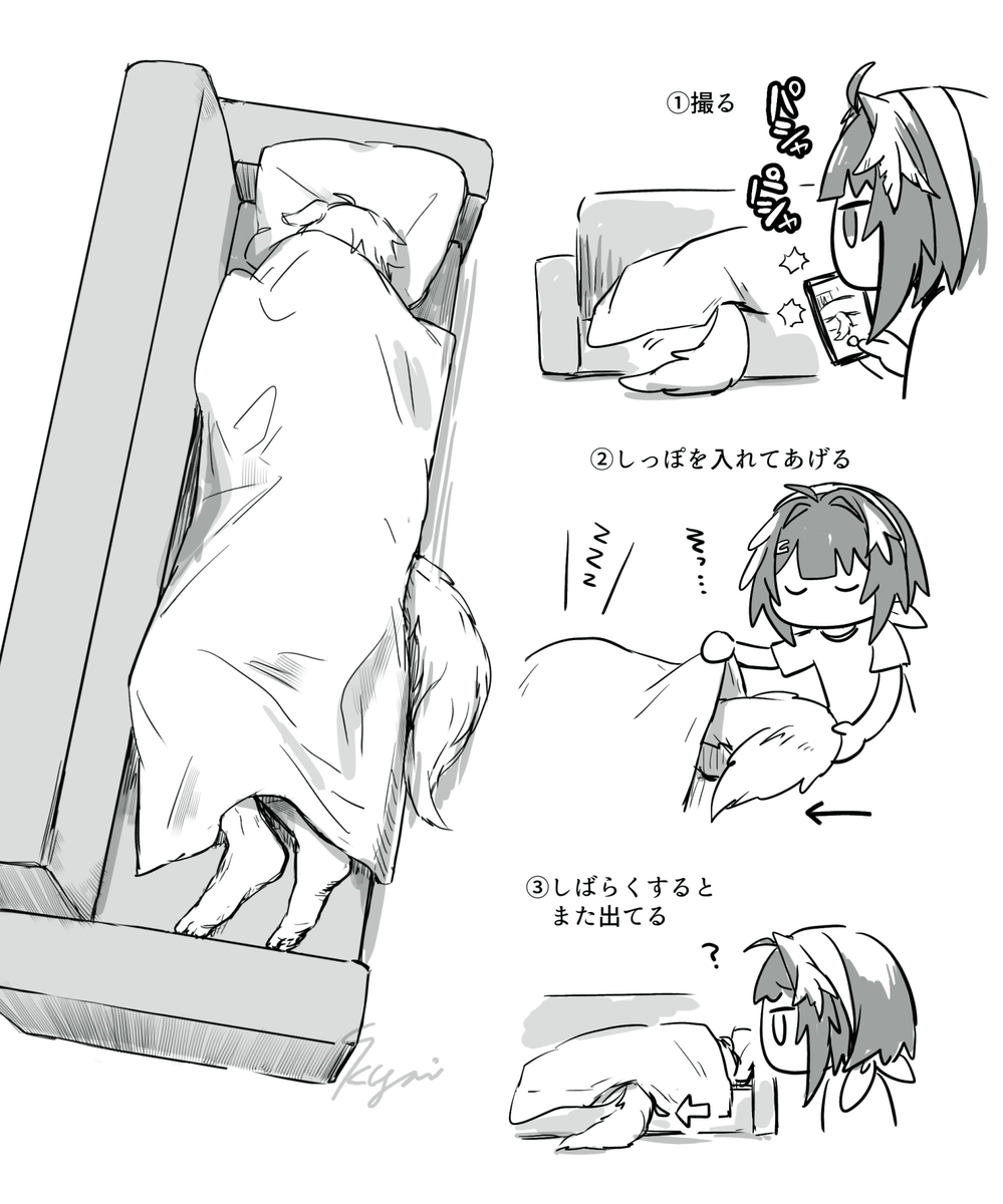はみ出るしっぽ🐶