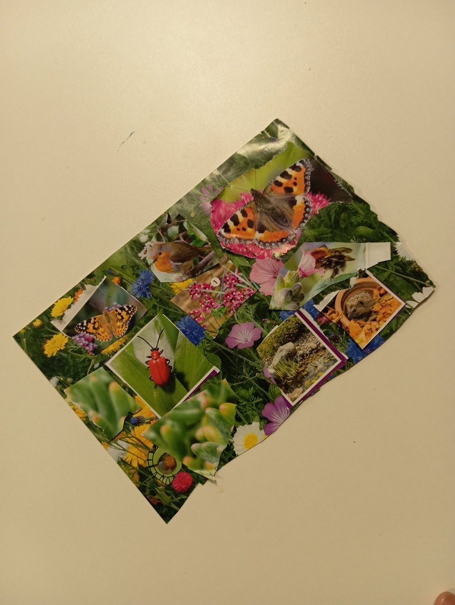 RysSaima's tweet photo. Green Spaces workshop, young people learned the importance of a perfect Peatland. Then designed their own creative collages & creativity carried on at lunch with yp designing tote bags #Creative #NetZeroNW @YouthFocusNW @RochdaleYouthie https://t.co/pn3OSgP8aQ