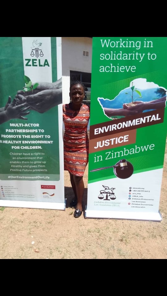 Lolonyaba's tweet photo. @ZELA_Infor 
@ChiadzwaC 
CSOs, Government and Youths must collaborate to build a multi-stakeholder network to campaign on revenue transparency in the mining sector based on an analysis of how beneficiary's will benefit from mining taxation. #ResponsibleInv#TaxJusticeZW https://t.co/aL288yQCfM