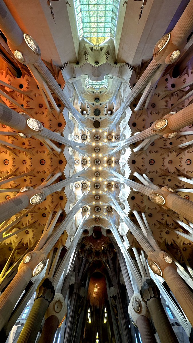 DaniNovarama's tweet photo. En otoño el sol está más bajo, y la luz de la Sagrada Familia es alucinante. No se lo pierdan. https://t.co/drAnHj2BvN