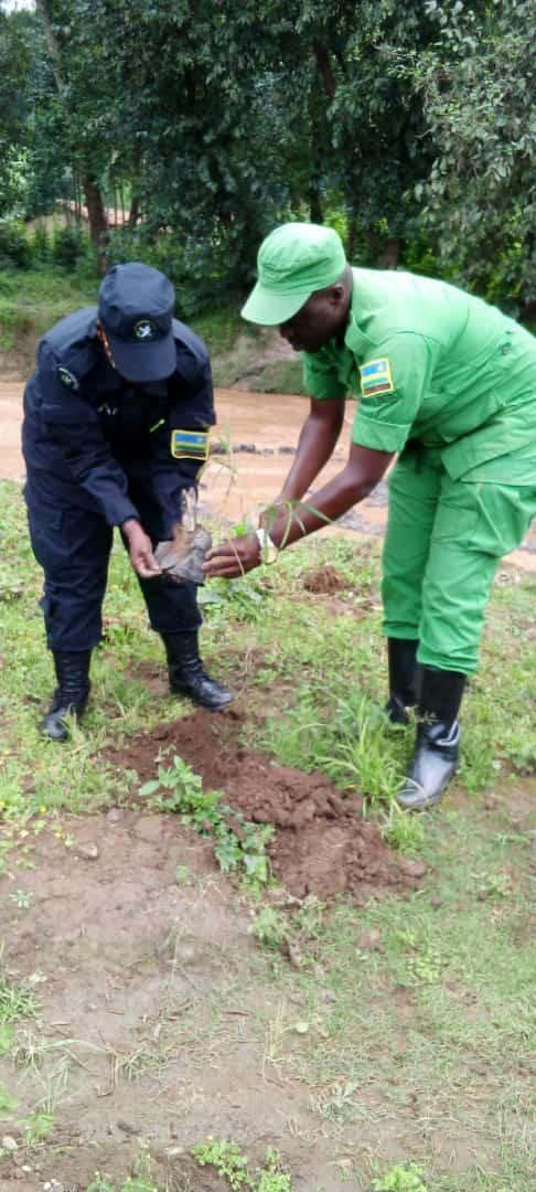 NYUNDO SECTOR tweet media