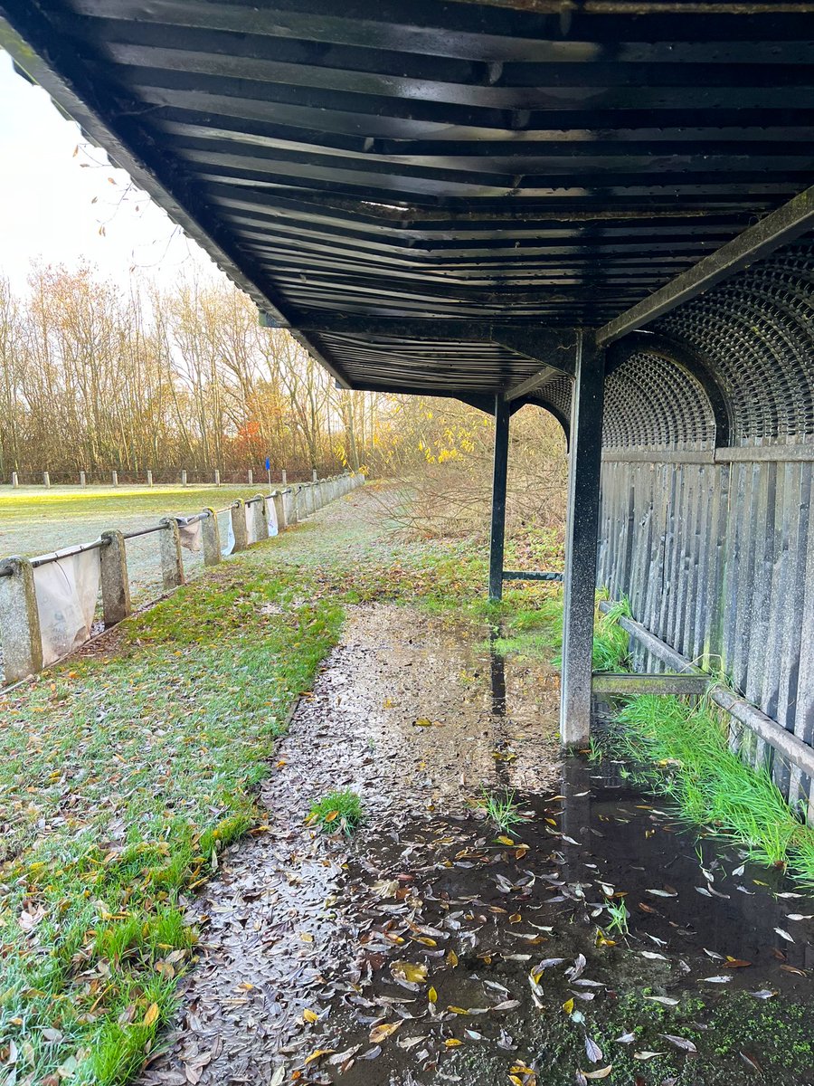 Sam North tweet media