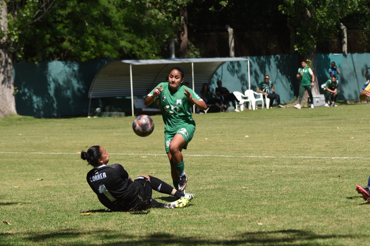 FerroFemenino's tweet photo. GANÓOOO FERROOOO 🔥

#Oeste superó 1-0 a Rosario Central con gol de Alicia Zaracho y de esta manera selló su clasificación a los 4tos de final de la #CopadelaLiga 🏆

19 puntos en 9 partidos jugados 😎

#VivíFerro 💚
#VamosVerdolagas 🇳🇬 https://t.co/NazLDzEynj