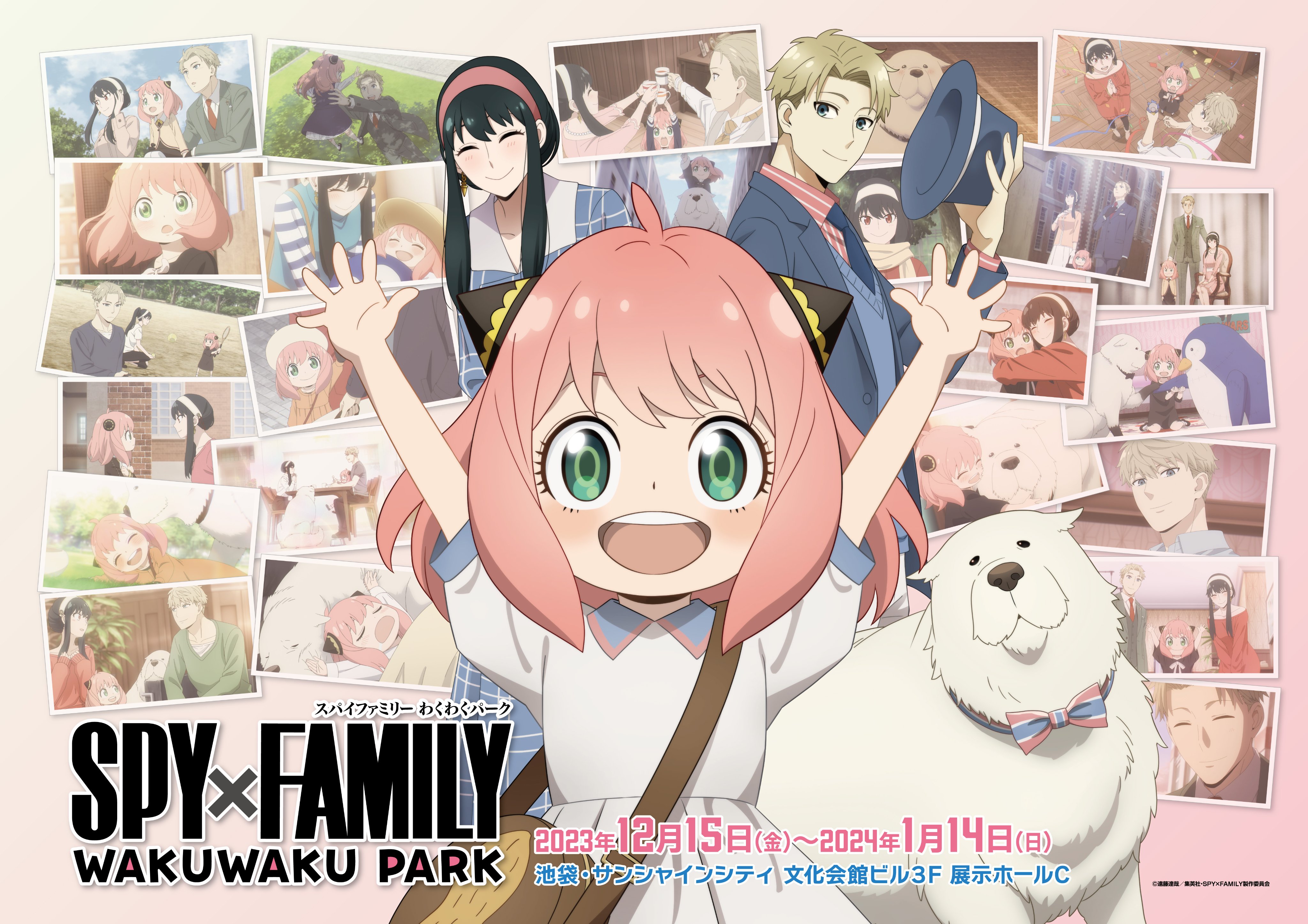 Amazon.com: Spy X Family 1 - Jump Comic (Japanese Edition