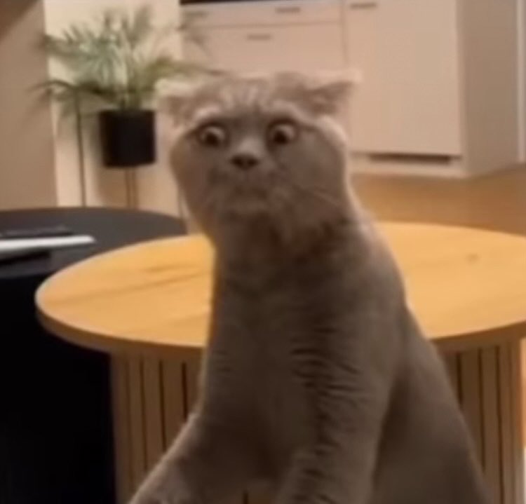 gorganzolas's tweet photo. me when my girlfriend actually wants to communicate with me instead of fight about our problems.
(its not cannon) https://t.co/de4KPZWDhA