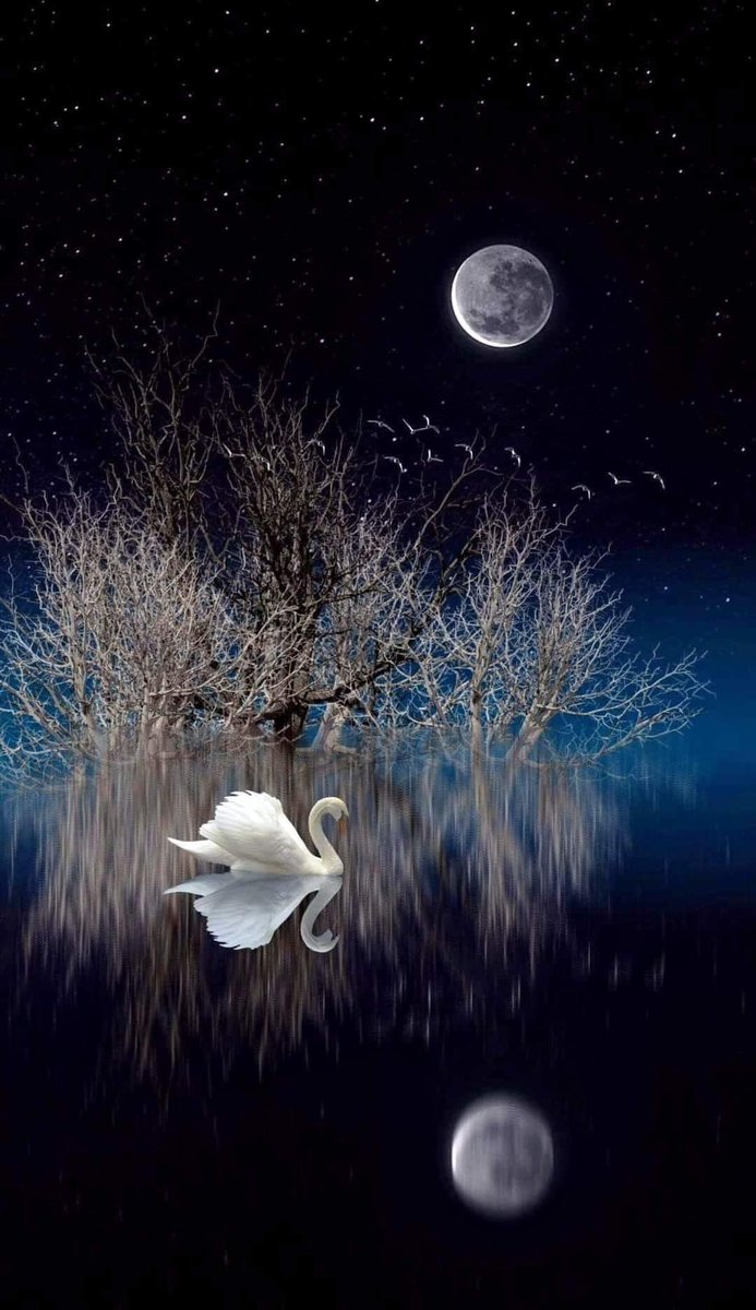 Song278144025's tweet photo. I may be having a sick .. Just sleep, I was awakened by the nightmare .. The mind is constantly explaining. Explanation ... I can‘t stop 
Every day, every night

I have always been an obedient and good worker. I work hard and never complain. Even if I am innocent, wronged or hurt https://t.co/tHa80INQNW