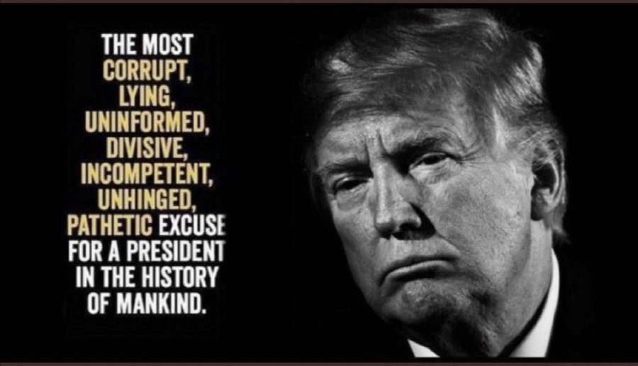 FreeASeed2016's tweet image. Trump &amp;amp; anyone following the Orange Orangutang is a LOSER.  Actually a 2 TIME LOSER

Wake Up USA you are 34th in global education &amp;amp; it really shows