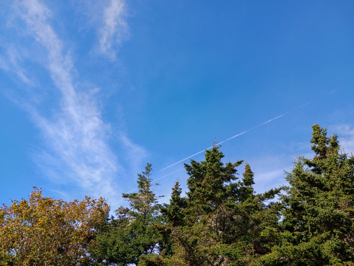 More chemtrails today over Cape Sable Island, Nova Scotia, Canada.  Notice how the earlier plane trails turned into cloud that lingers only to be added to by the newer aerosol releases.  #chemtrails #geoengineering #poisonsky #lookup #HAARP #globalism