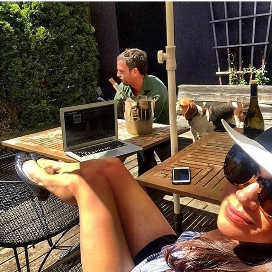 that_1's tweet photo. Meghan home alone. Almost alone. https://t.co/73YlcySMXO