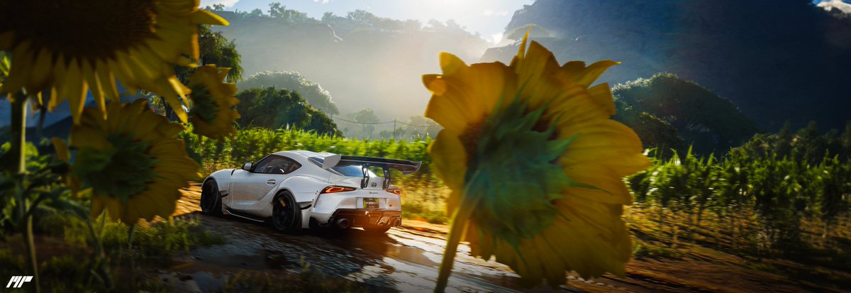 Marlowe Media tweet media