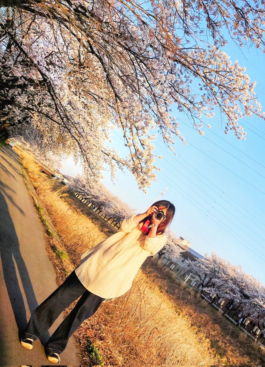 sea_melody_line's tweet image. オットがわたしを撮ったもの(自己紹介も兼ねて春夏秋冬Ver.)
撮られるばかりじゃ悔しいので、わたしもオットを撮ってやる。
そんな訳のわからん動機で写真を始めたアカウントはこちらです。
#fujifilm
#カメラ初心者
#キリトリセカイ
#ファインダー越しの私の世界
#写真好きな人と繫がりたい