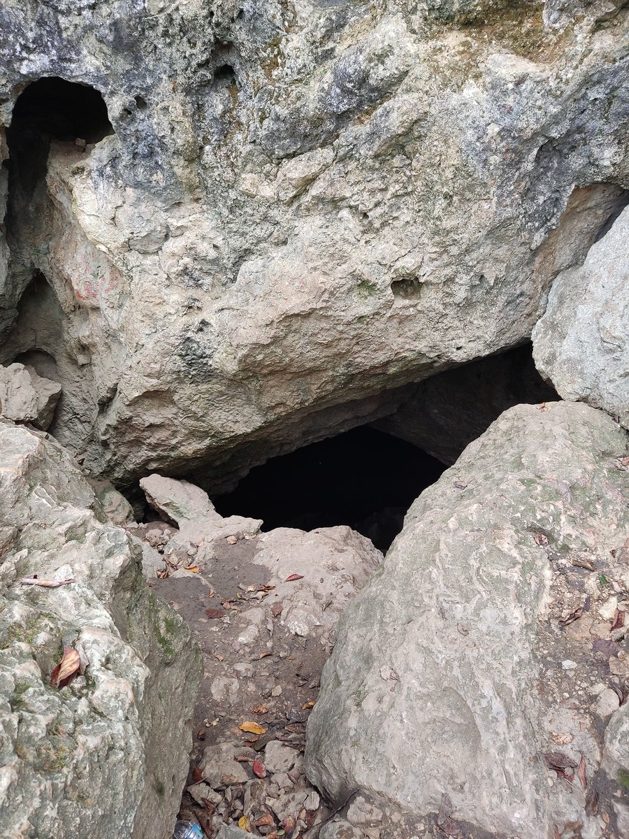 این آخر هفته رو دوست داشتم
برای اولین بار تو زندگیم غار پیمایی رو تجربه کردم که باید بگم واااااقعا خوب بود
 با ندید گرفتن این کبودی زانو و کبودیای کوچیک تو کل بدن و خراشای دست میشه گفت هیچ آسیبی هم ندیدم
الانم یه لنگه پا منتظرم ببینم پس کی عکسامو بهم میدن🥲