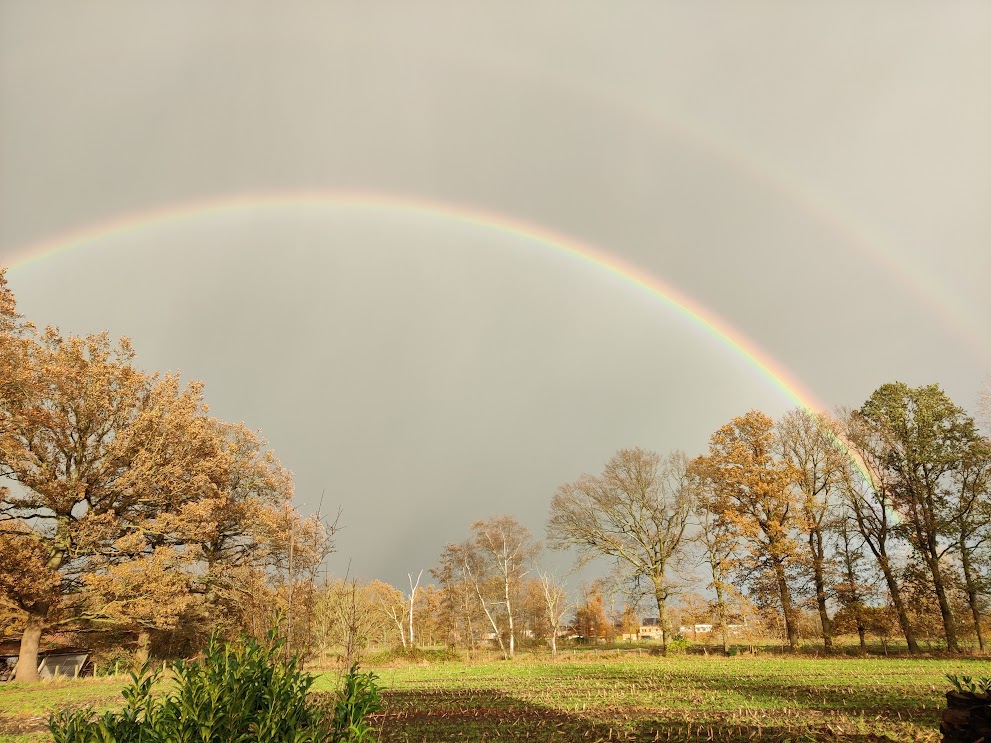 Toon Verwerft tweet media