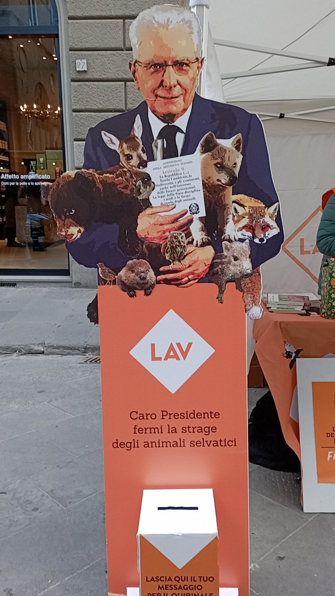FirenzeLav's tweet photo. In Italia la vita degli animali selvatici è carta straccia.
Chiedi al Presidente Mattarella di fare rispettare l'articolo 9 della Costituzione e fermare la strage. Vieni in via Calimala a scrivere un messaggio per il Presidente.
#animalisottoattacco
@LAVonlus @LAVSediLocali https://t.co/mjz6hrEGPl