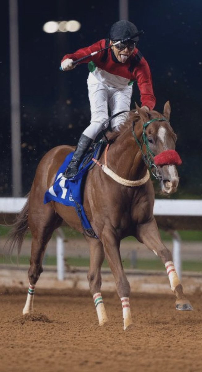 Alshareef Stable tweet media