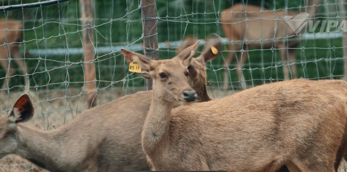 HERO_0125's tweet image. 可愛いシーン🎬が集まりました🎬

#สวัสดีความสุขEP2
#HelloHappy
#TaeDarvid 
💙💙💙