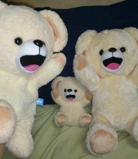 Garynomm's tweet image. 하하하하하하하하하하