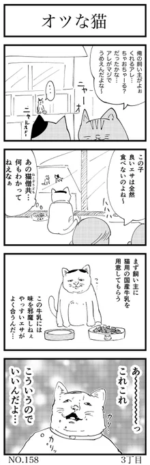 オツな猫

#4コマ漫画 