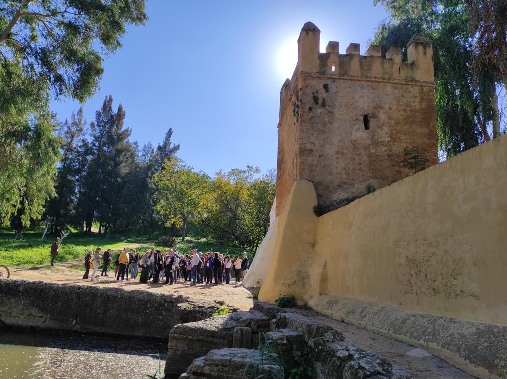 soyPdro's tweet photo. @Pacheco_SPM ¡Muchas gracias, compañero!
Ante la dejadez e inacción administrativa, demostramos una vez más que la acción pública, la participación ciudadana y el asociacionismo es el camino para defender nuestro patrimonio cultural de la Huerta de Murcia y de la región.
Seguimos
#CIMOSevilla https://t.co/80k8kG09xE