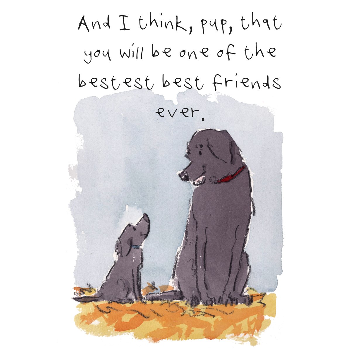 iaindwelch's tweet image. I hope that you are having a really lovely day so far, lovely people and lovely dogs.
Hooray for best friends.
I'm wishing you the very best for the rest of your day. 
#hoorayfordogs #blacklab #labrador #puppy #bestfriends