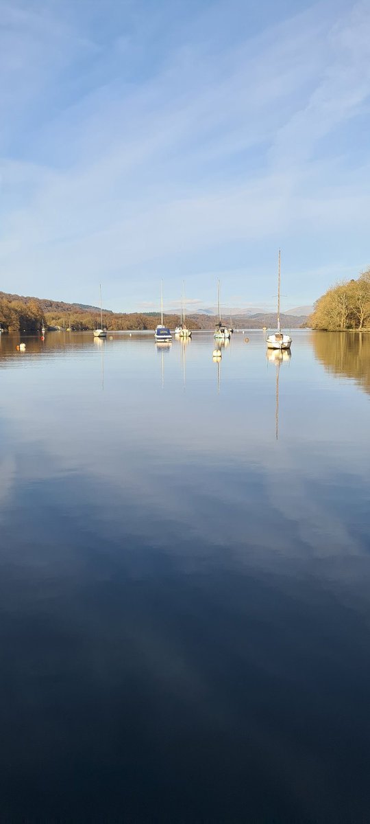 Ben Surridge tweet media