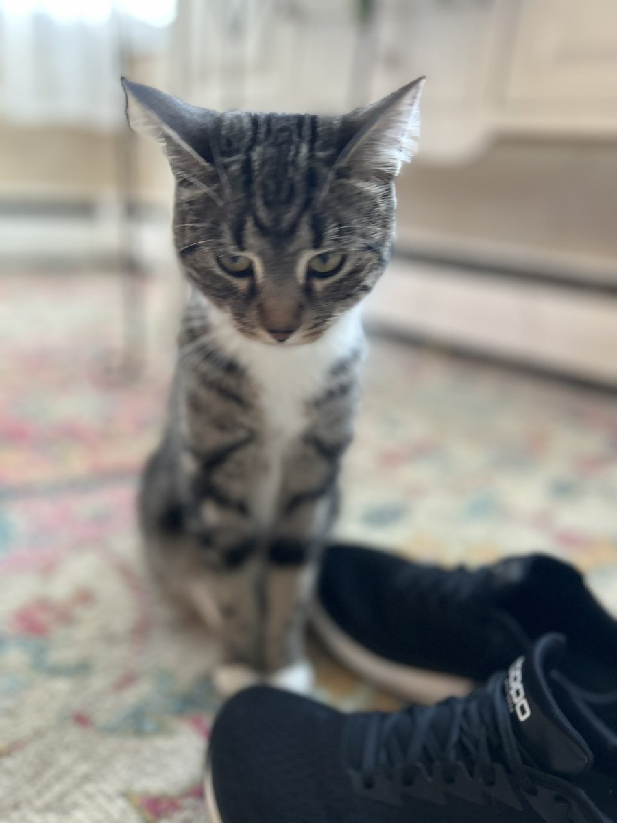 Amy Falkner tweet media