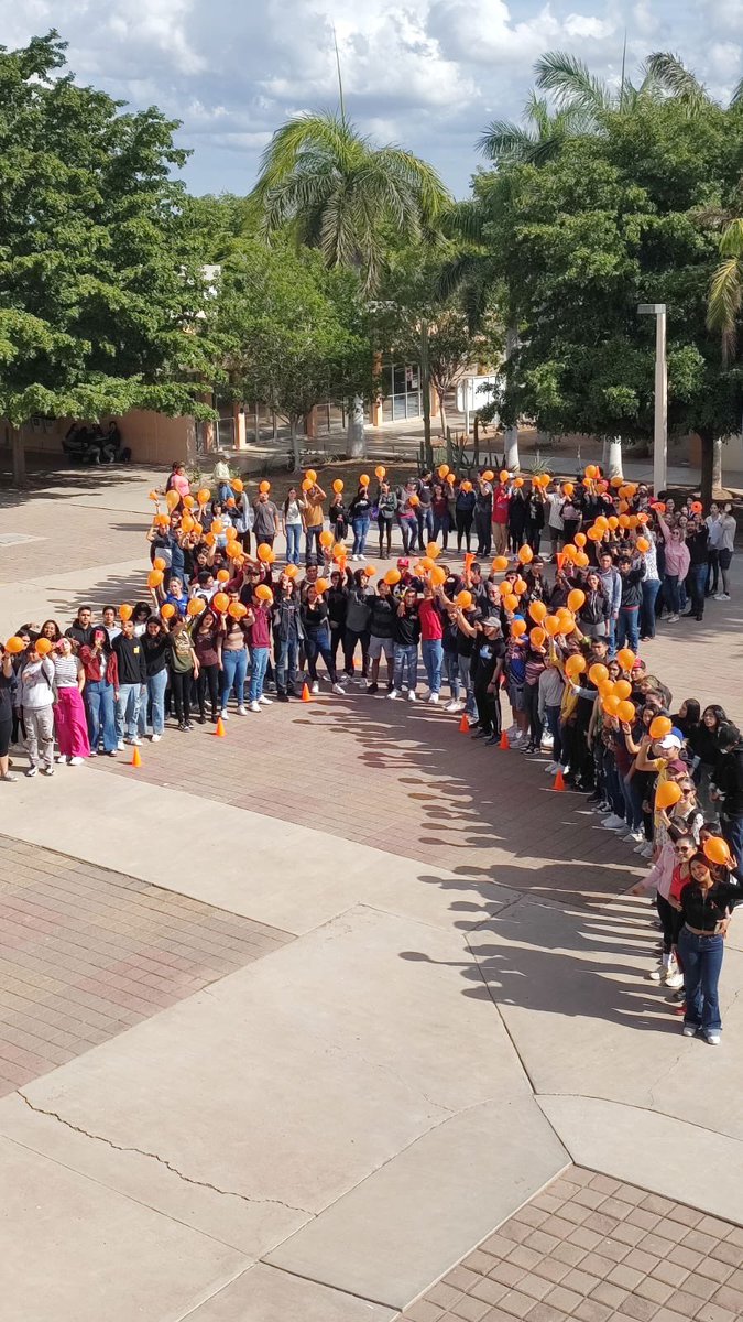ITSON Universidad tweet media