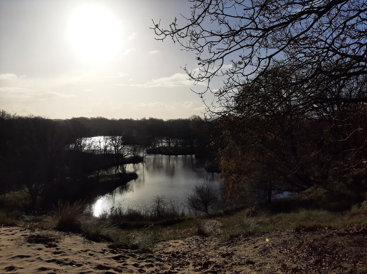 MEKloppenburg's tweet photo. Prachtige wandeling gemaakt met mijn broer Ico door #meijendel #Kijfhoek en #Bierlap bij #Wassenaar. https://t.co/ll1pRZfDVG