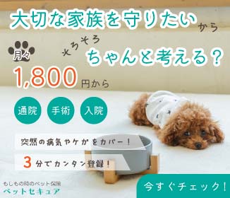 soo_web4489's tweet photo. 来週あるフルゼミの添削道場の課題バナーを作ってみました！
課題は、ペット保険のWeb広告。
保険だしあまり遊ばない方がいいのかなと思ったんだけど、崩し方がムズカシイ。。
他の方のデザインが楽しみ！
辛口でもいいから添削してもらえるといいな♫

#フルゼミ #添削道場 https://t.co/81TTM0MDWo