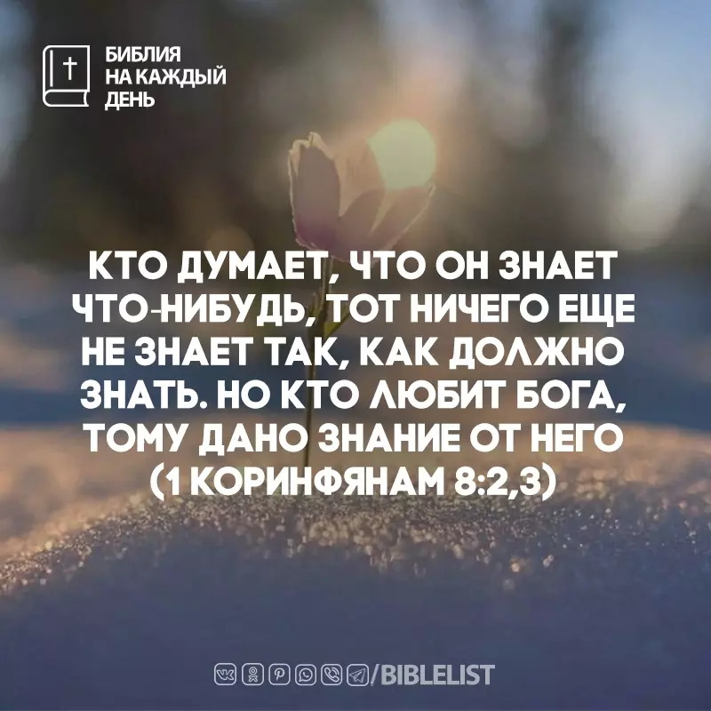 Biblelist's tweet photo. Кто думает, что он знает что‐нибудь, тот ничего еще не знает так, как должно знать. Но кто любит Бога, тому дано знание от Него. 
(#1Кори��фянам 8:2,3) #БиблияНаКаждыйДень #Библия https://t.co/MdUGExQFbW