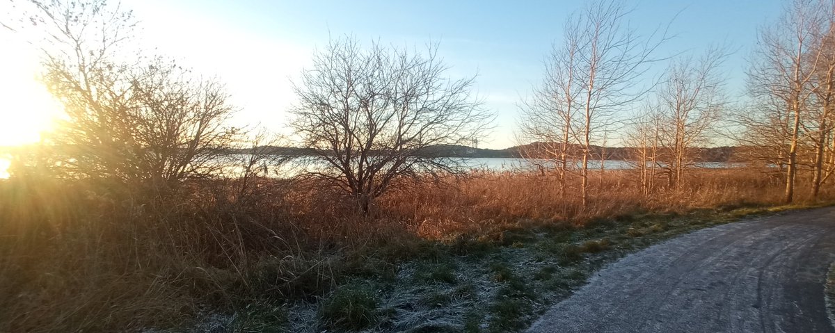 A fresh and nice walk in the cold before sitting down with coding a bit and then some writing. TV with SVT #Vinterstudion on background now.

Whats up? 

#WritingCommunity #SVT #Creatives #readers #authors #NFTCommunity #Sweden #Europe #World