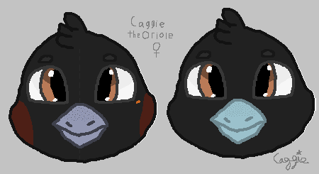 ₊˚｡⋆❆⋆｡˚₊ Toy Oree⋆꙳•̩̩͙❅*̩̩͙‧͙ ‧͙*̩̩͙❆ ͙͛ ˚₊⋆ tweet media