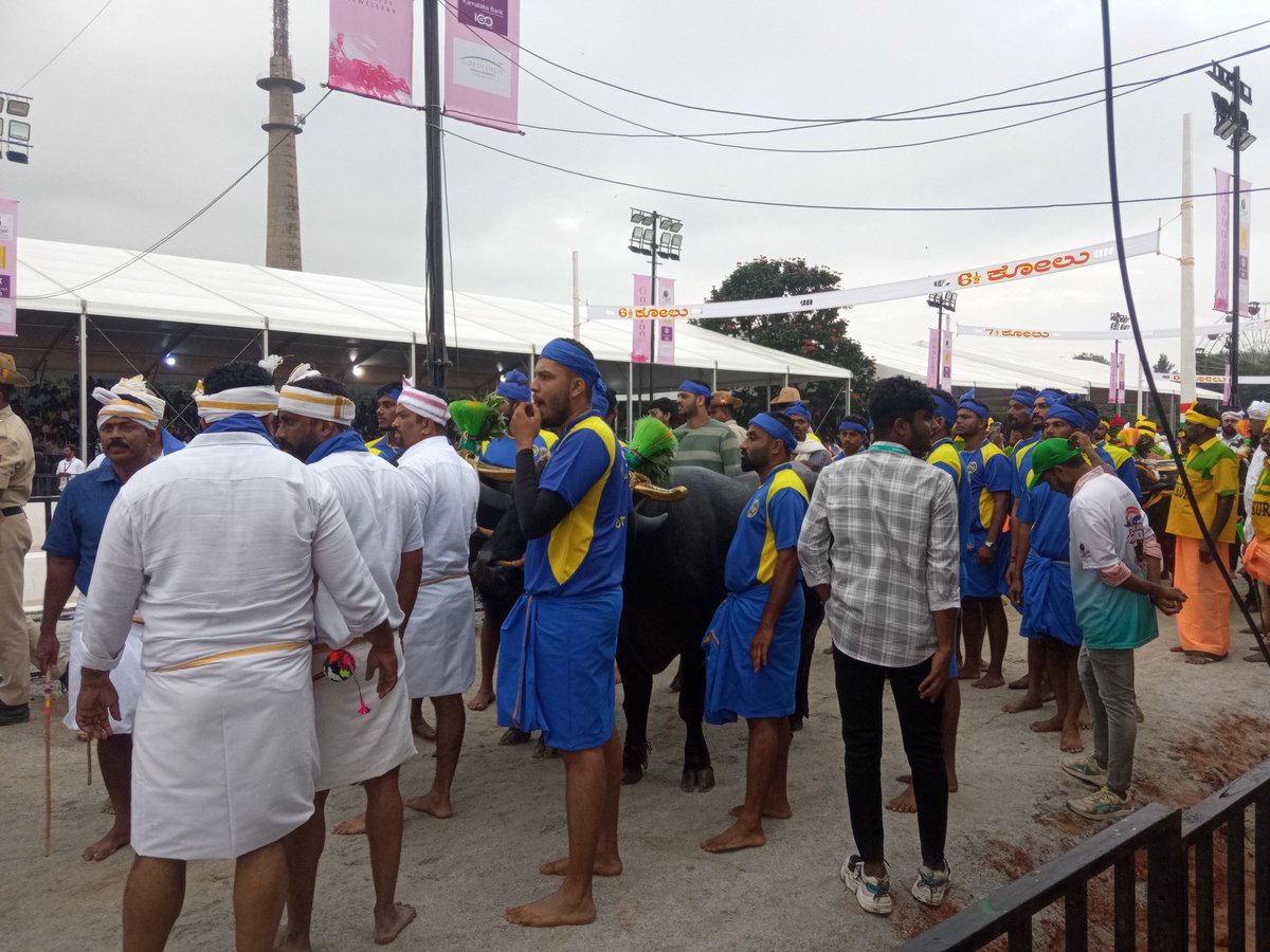 pavankumar_nm's tweet photo. ಕಂಬಳ ಬೆಂಗಳೂರು  #kambala #BengaluruKambala https://t.co/eXxHLzzjbN
